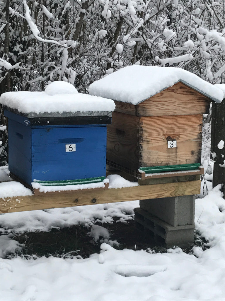 Should I insulate my hives in winter? When, how, why?