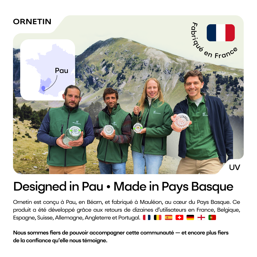 Team Ornetin