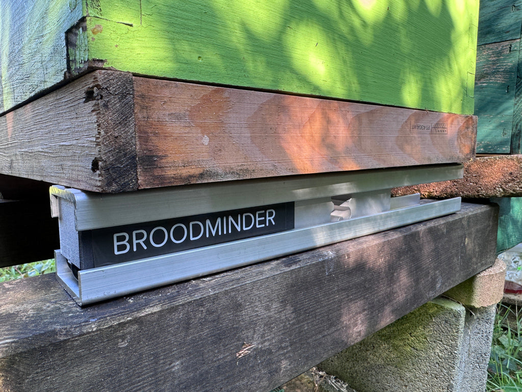Broodminder W5 installed on the back side of the hive