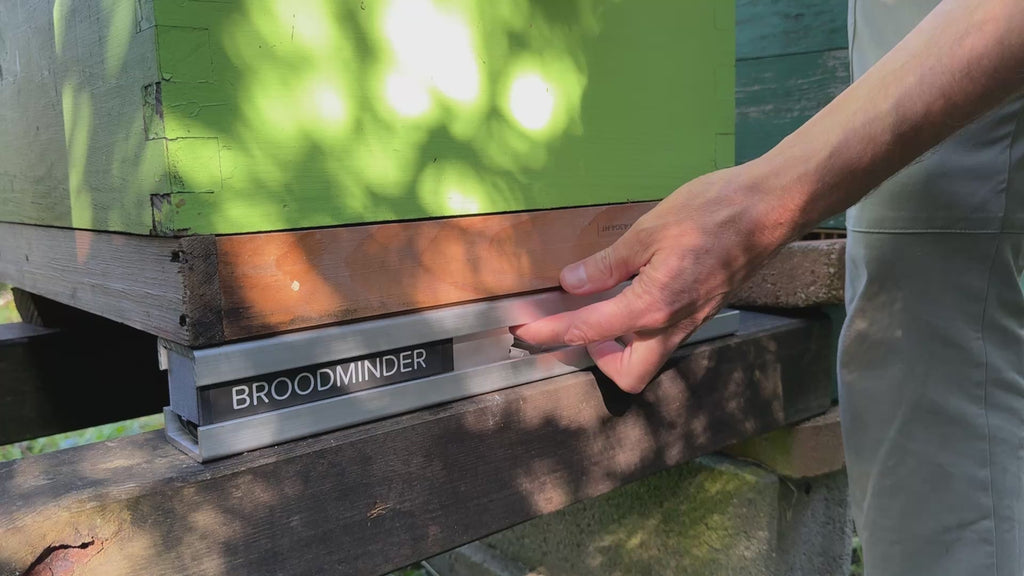 Broodminder W5 installation
