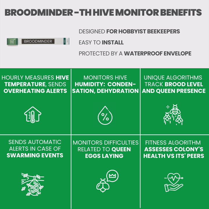 Broodminder-TH hive monitor benefits